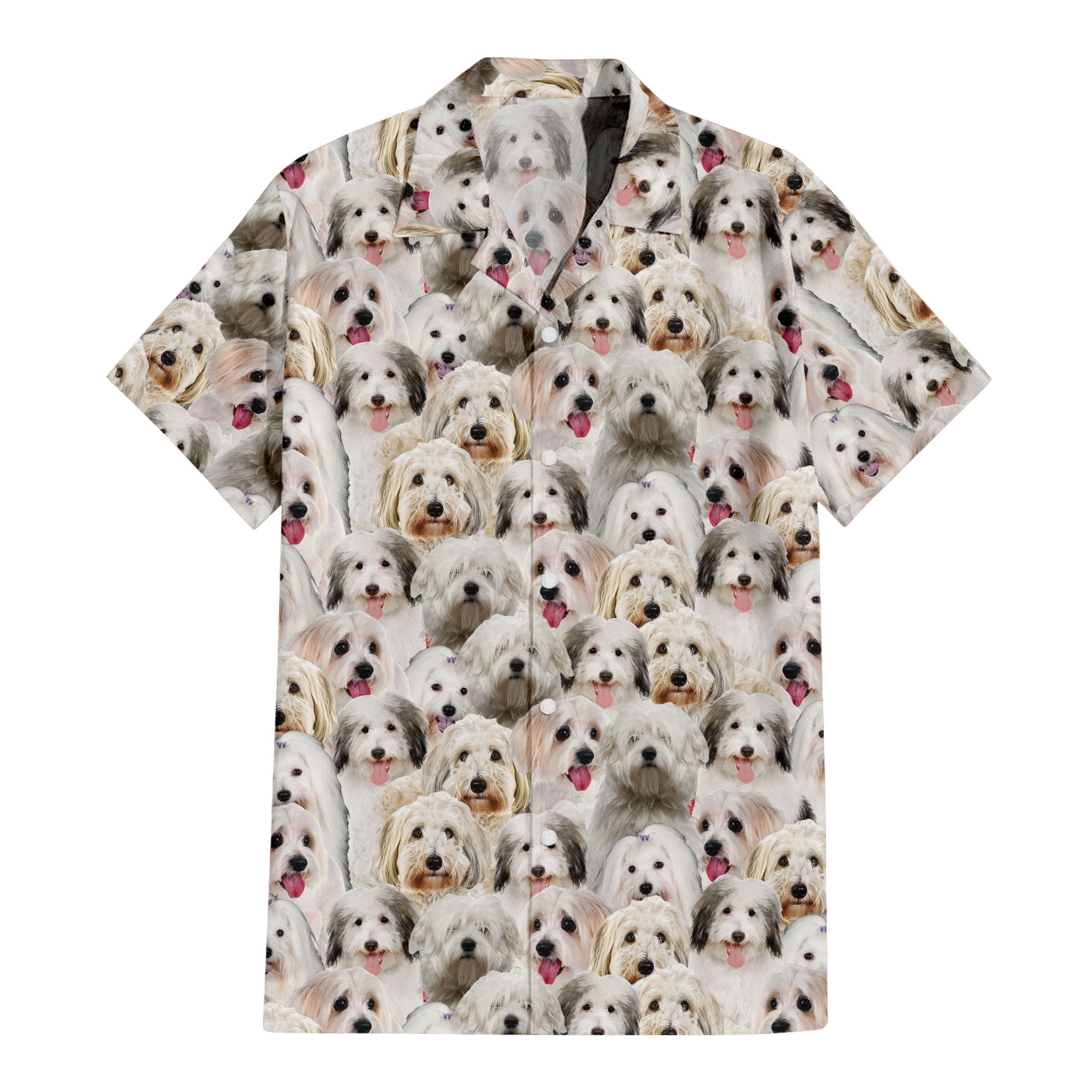 front-t-shirt-Coton-De-Tulear.jpg