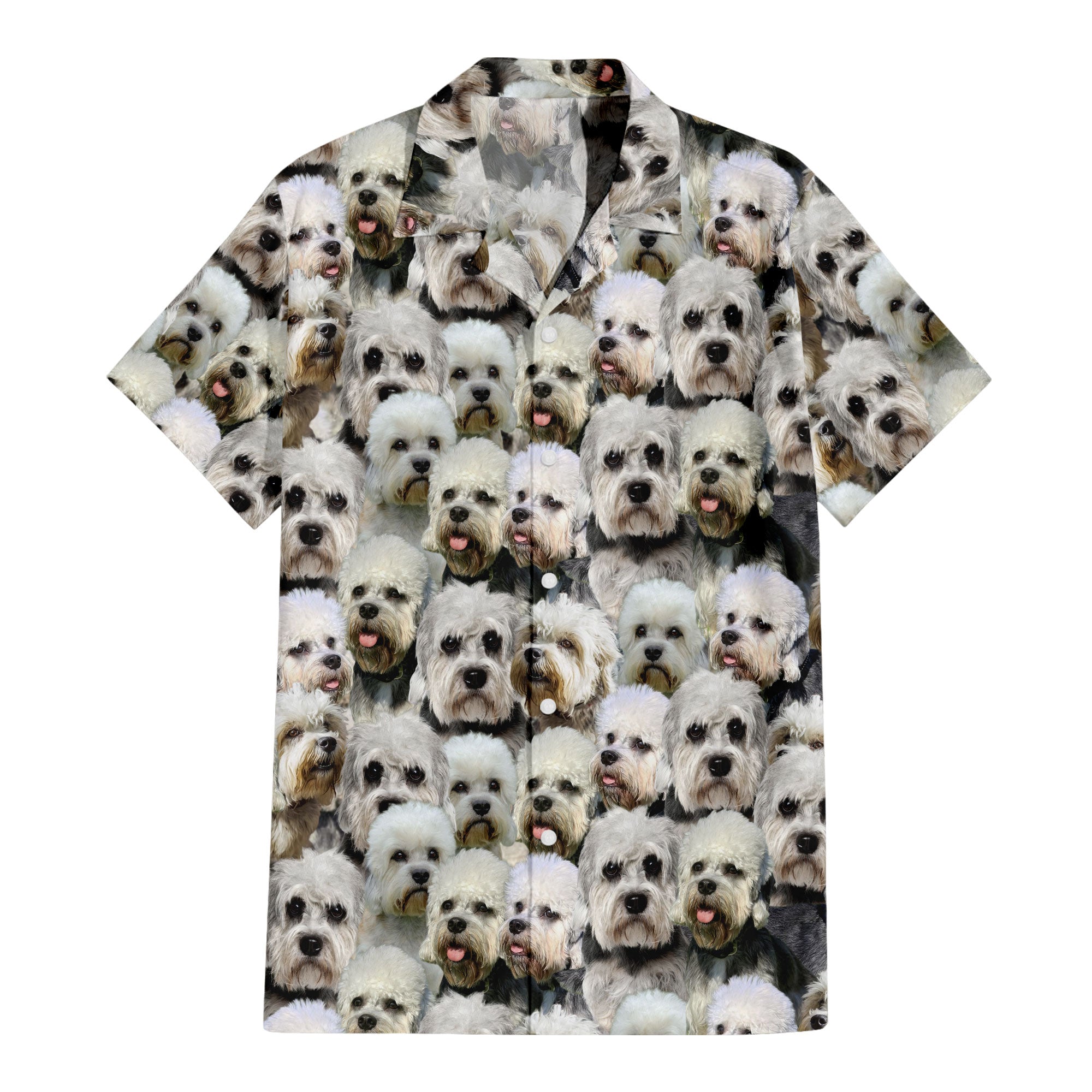 front-t-shirt-Dandie-Dinmont-Terrier.jpg