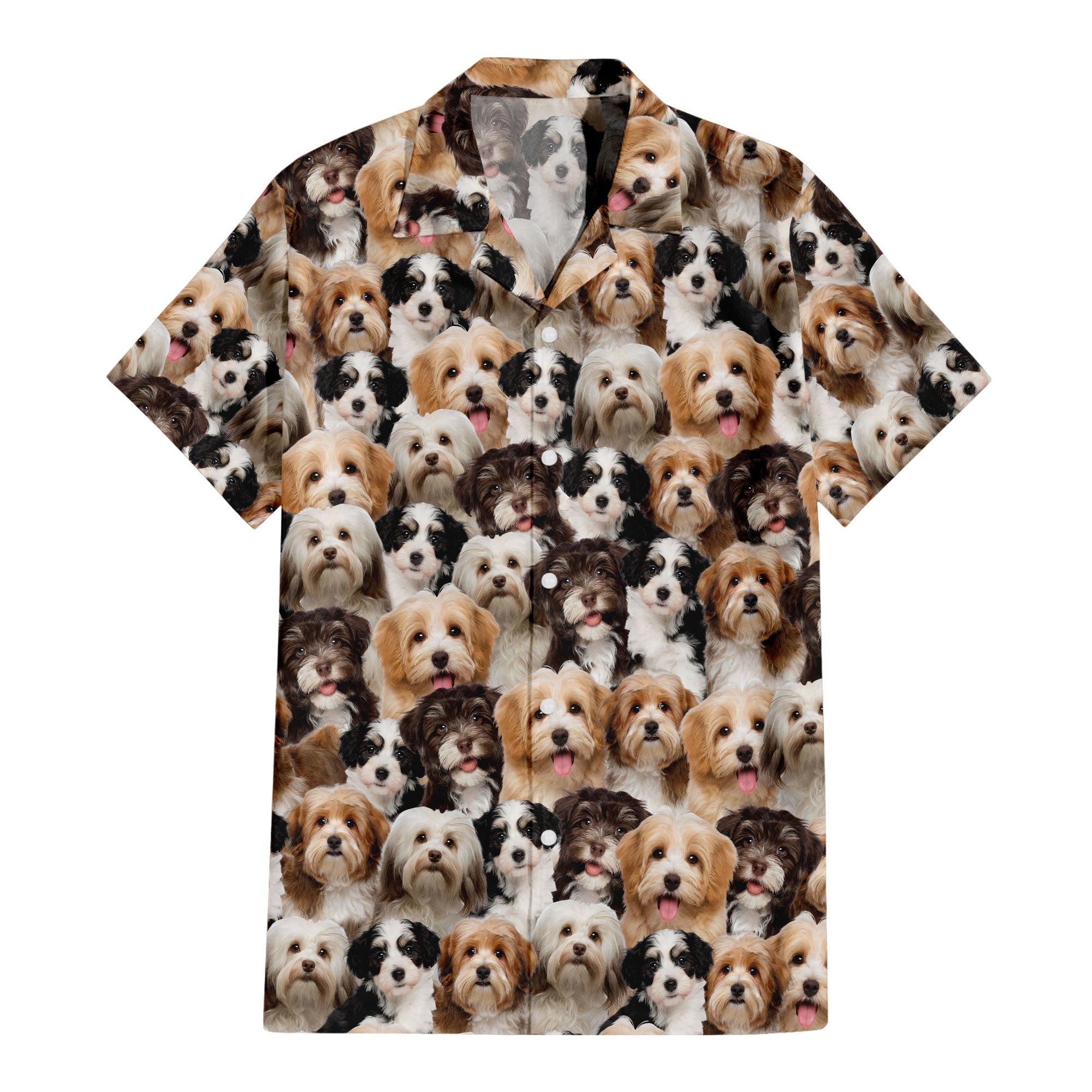 front-t-shirt-Havanese.jpg