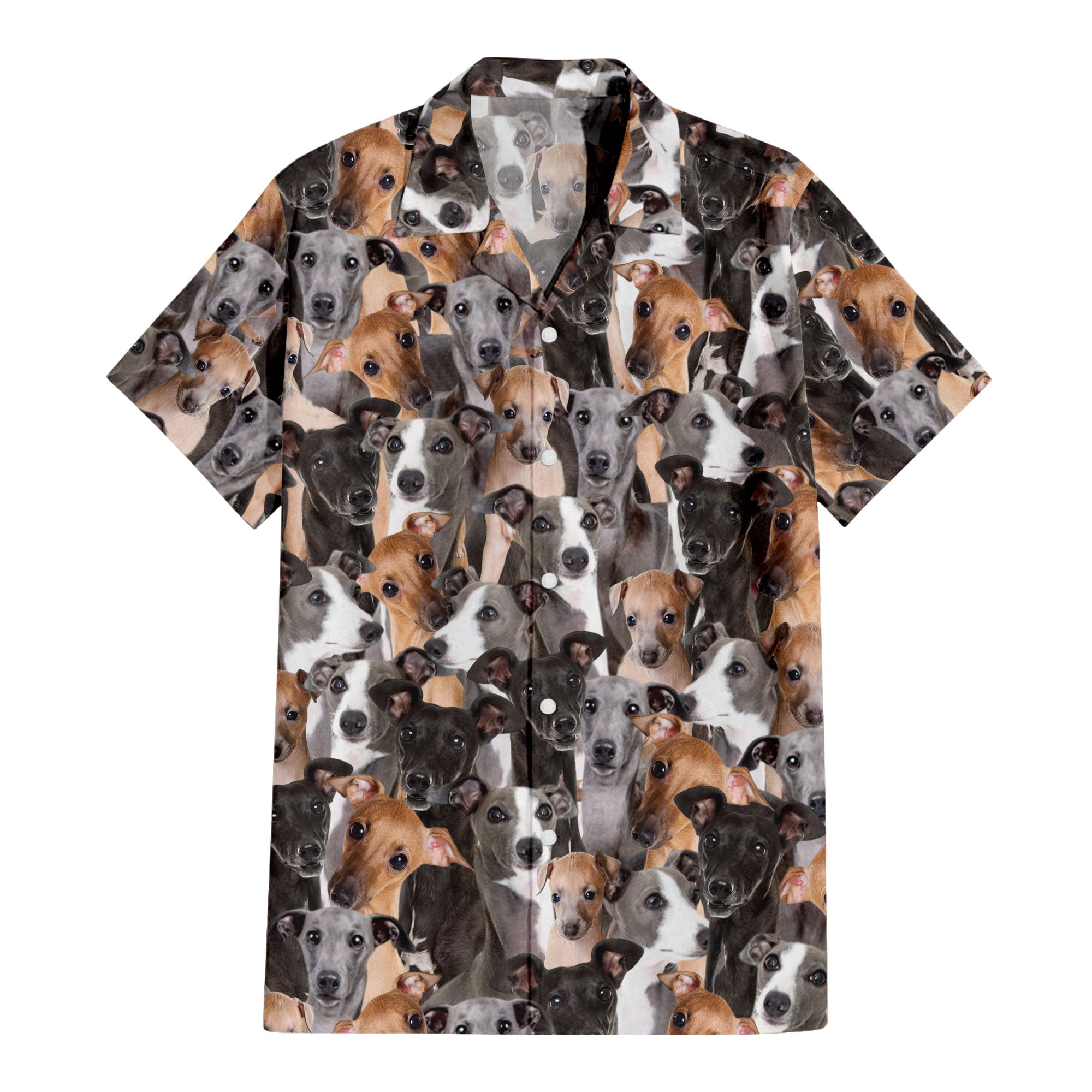 front-t-shirt-Italian-Greyhound-Full.jpg