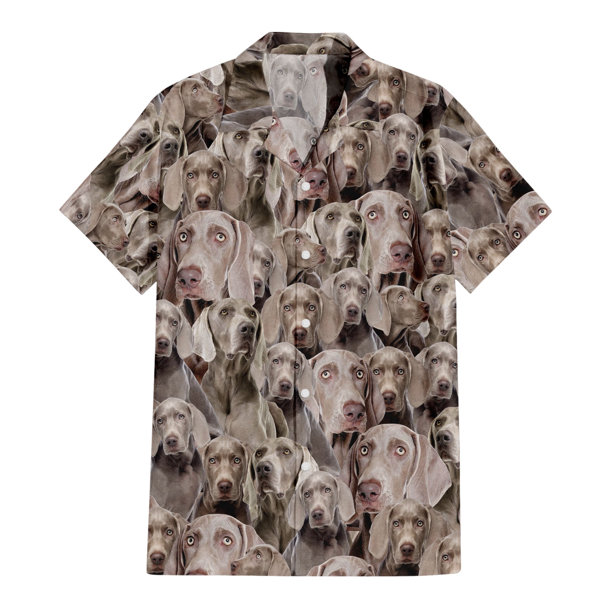 front-t-shirt-Weimaraner_a207be4e-a194-4247-b7c4-a604e7b32548.jpg