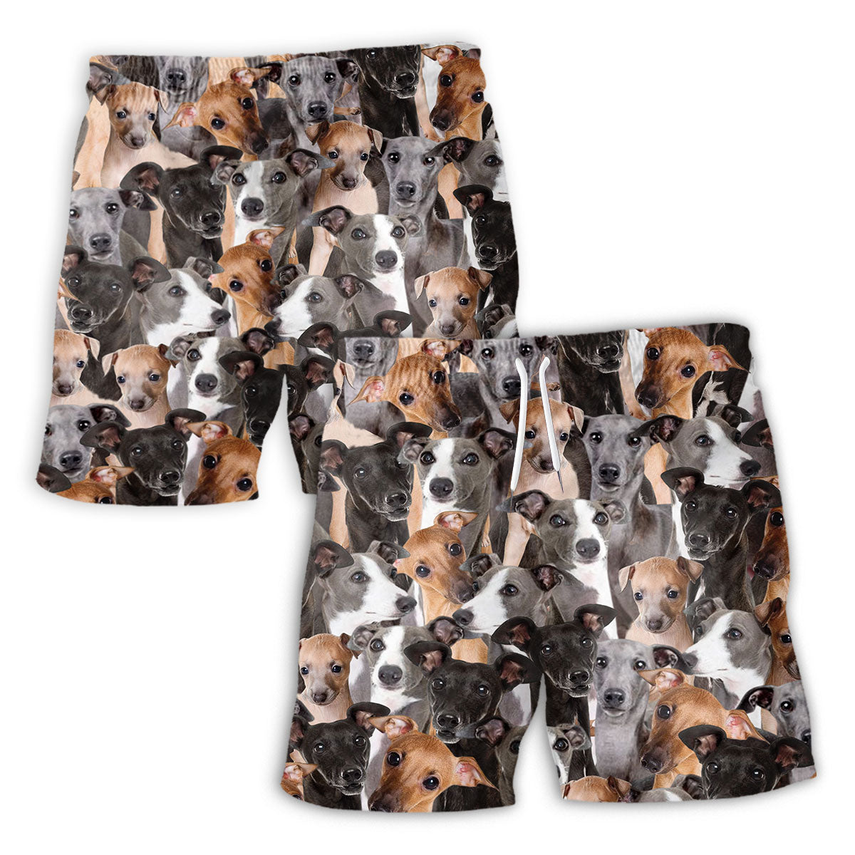 men-short-front-vs-back-Italian-Greyhound-Full.jpg