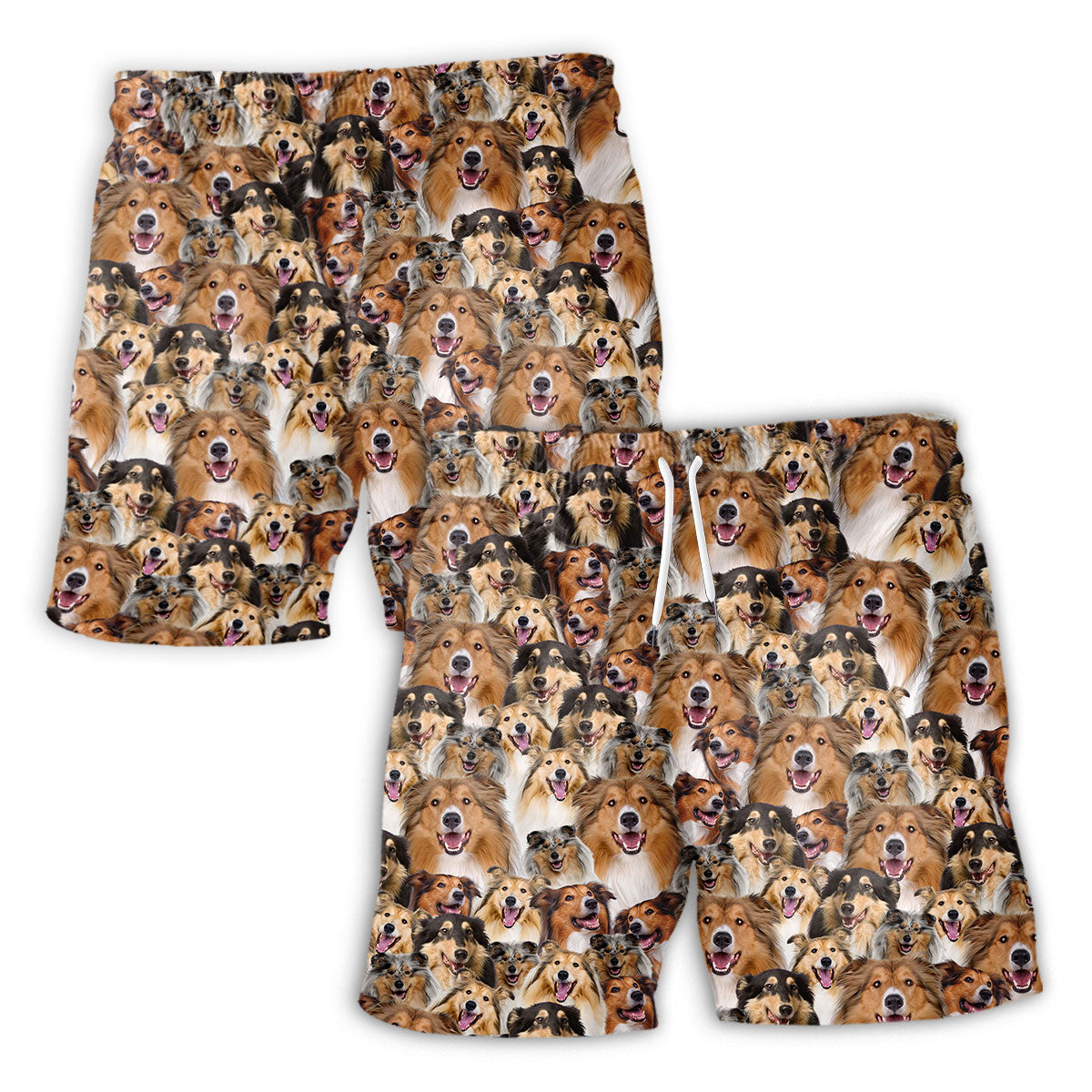 men-short-front-vs-back-Rough-Collie_d1bb4f3b-eba7-400e-9710-b69a22d91406.jpg