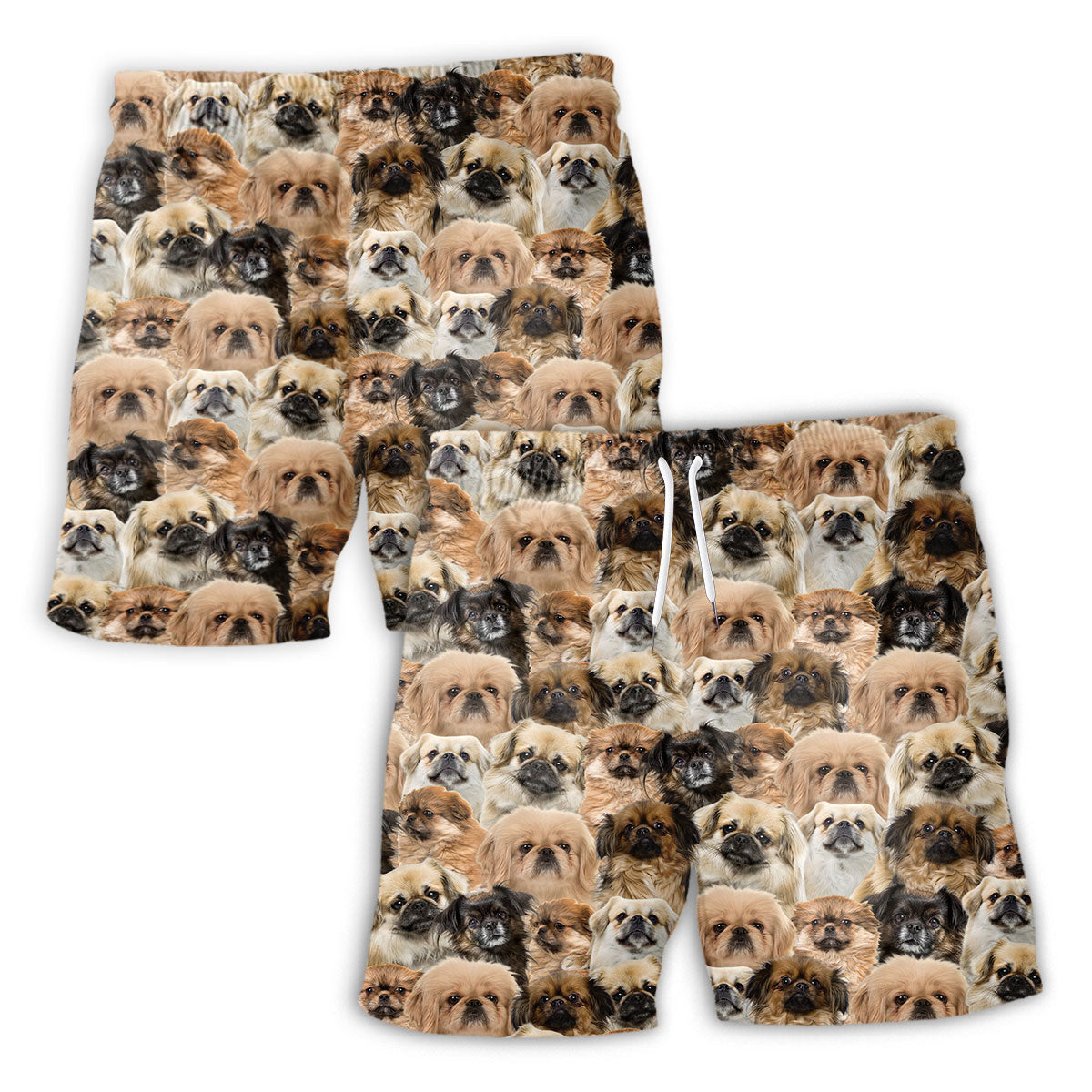 men-short-front-vs-back-Tibetan-Spaniel_49cf52e2-a5d7-4df0-b276-7ca07708ab72.jpg