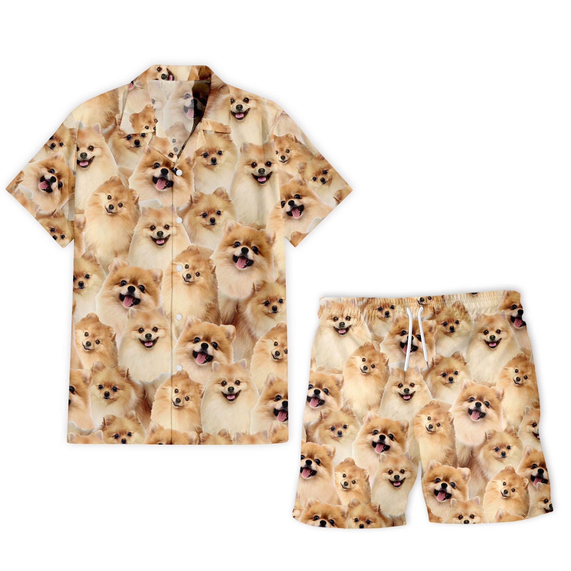 shirt-short-Pomeranian_1e5bc728-1b35-4607-a669-c99d6d5b01f5.jpg
