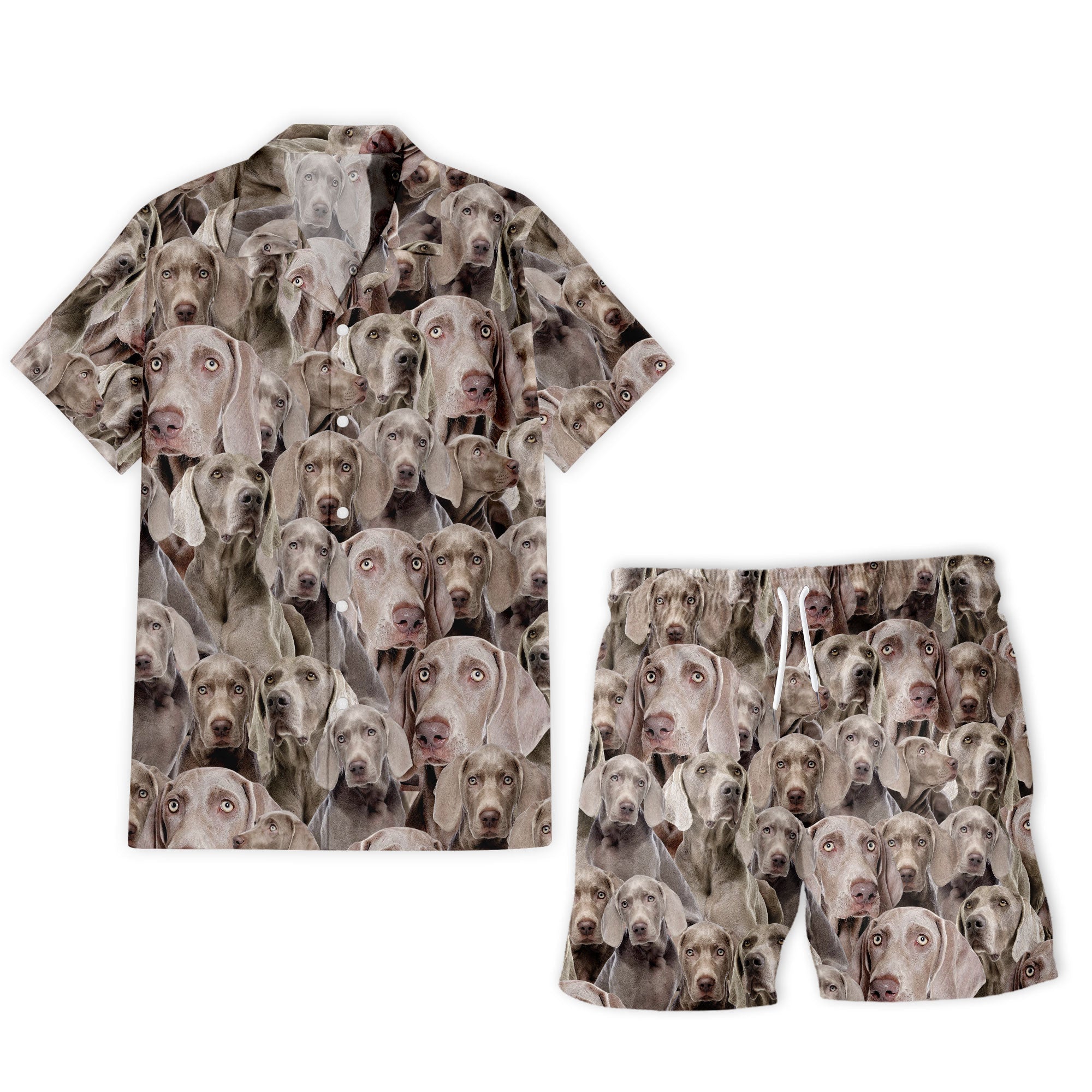 shirt-short-Weimaraneran_bd4de4c3-26d6-4d56-a7b8-da9c4b3198dc.jpg