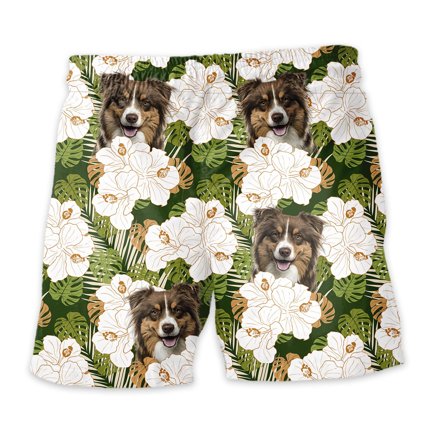 Shorts-back-16_64c55b90-9c56-419c-a3d1-88bc3c8fb108.jpg