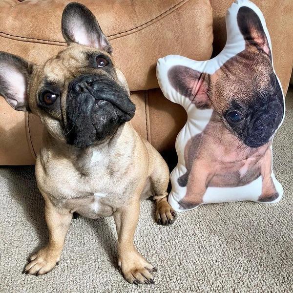 CustomDogPillowPetShapedPhotoPillowPetPortraitPillow.jpg