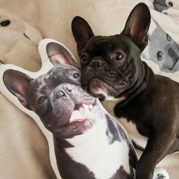 CustomShapedDogPillowPhotoPillowsDogLoverGifts.jpg