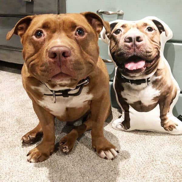 CustomShapedPillowofYourDogPetPhotoPillows_84f402b0-ef35-4f4a-b025-244f0c804283.jpg