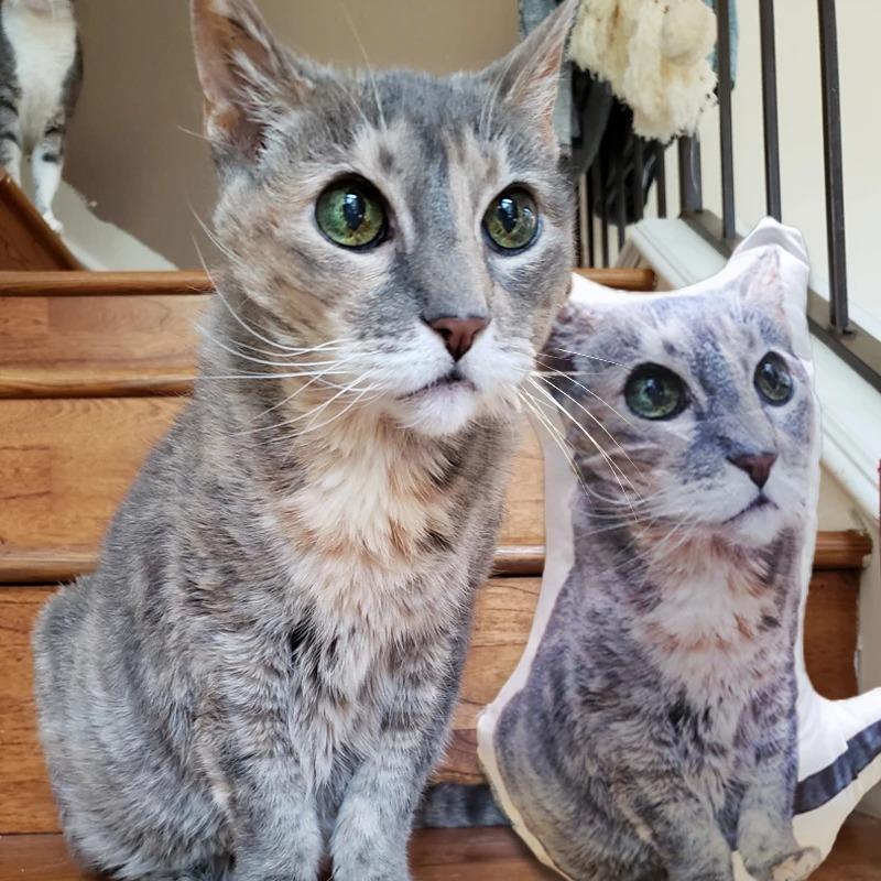 CustomizedCatPillowPhotoPillowsofCats.jpg