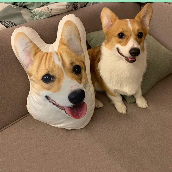 DogFacePillowCustomPetPillowsfromPictures.jpg