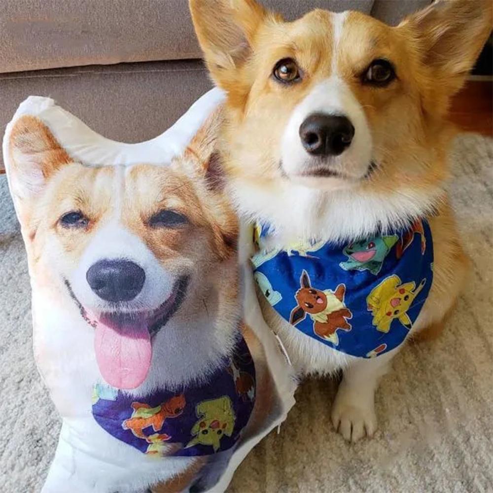 PhotoPillowsCustomDogPillowsfromPhoto.jpg