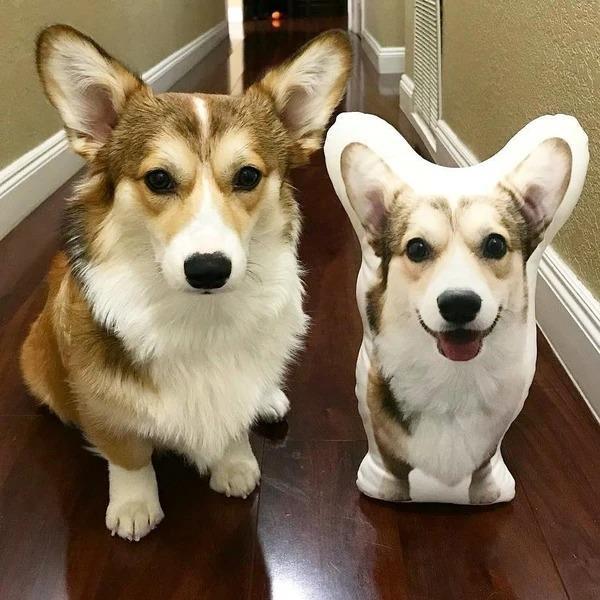 YourPetonPillowsCustomPetPillowwithPicture.jpg