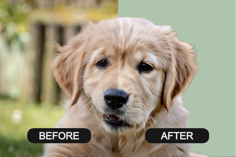 il_794xN.4567890384_ggf6