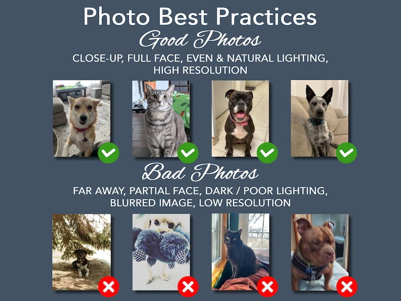 il_794xN.4728633448_onch