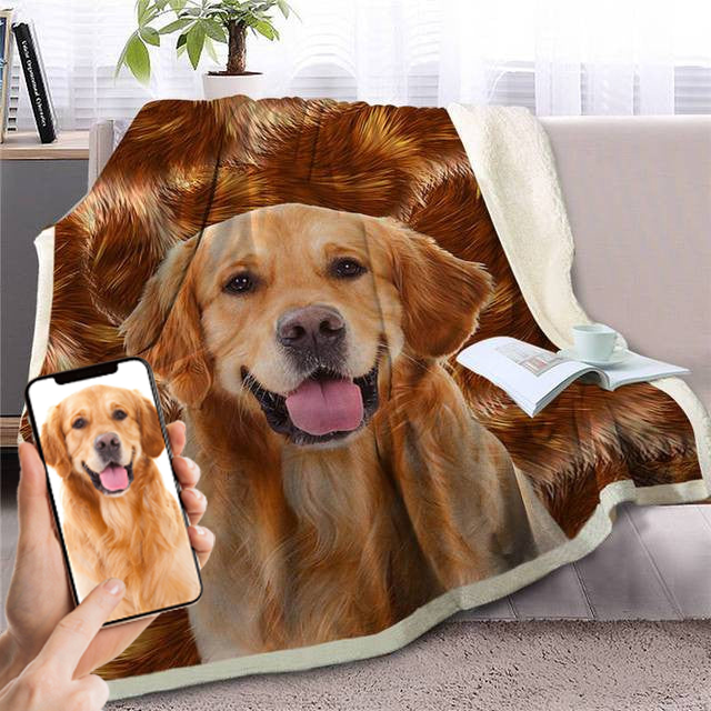 16694562387594bf51ed