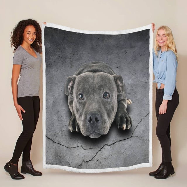 1hhfe9salzz7lqw7-SaiU0-163488887961726cafa1424