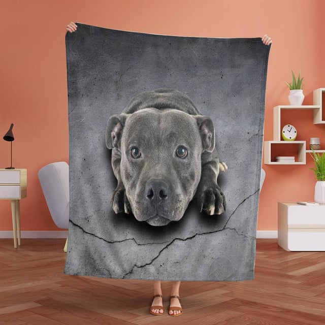 1hhfe9salzz7mcxs-WZfhe-164076315561cc0f13a83b1