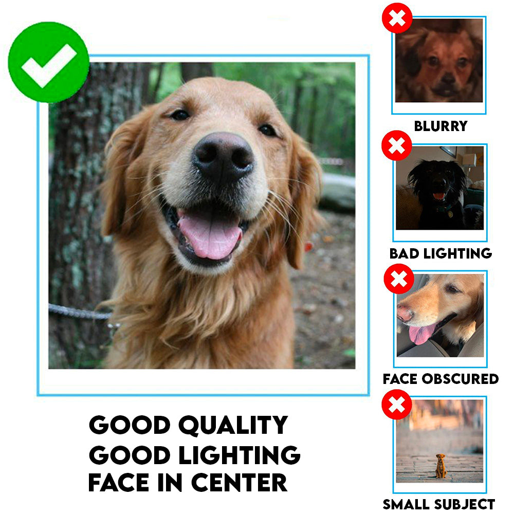 khachngud_t_cf6acd1c-1798-4e3e-a7a3-32f9d13bf066_2000x